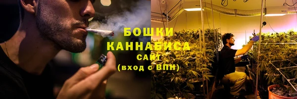 дмт Нея