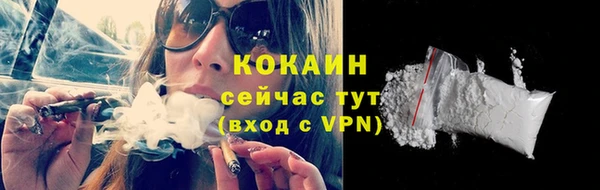 дмт Нея