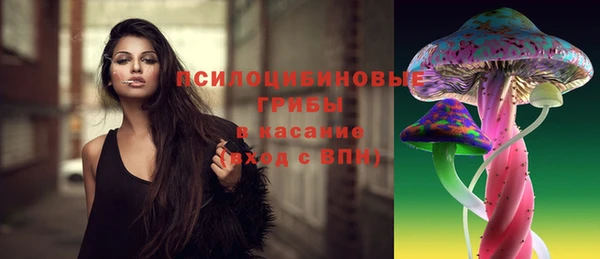 дмт Нея