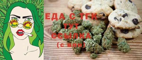 индика Новодвинск