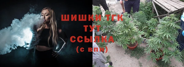 дмт Нея