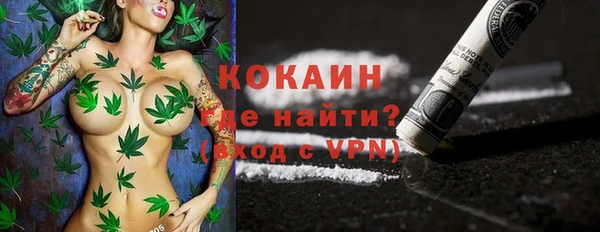 индика Новодвинск