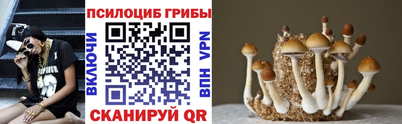 Купить  Пудож  Галлюциногенные грибы прущие грибы 